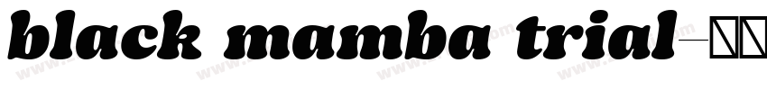 black mamba trial字体转换